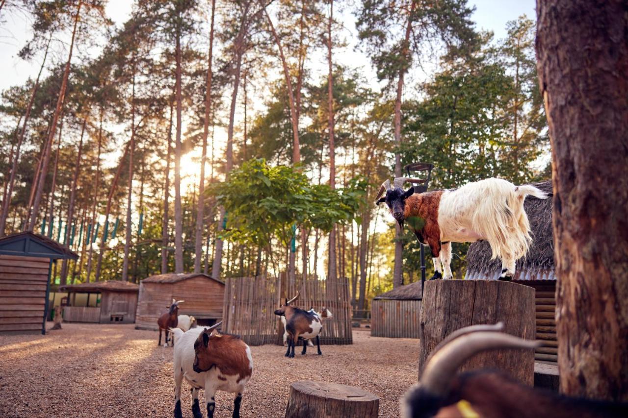 Center Parcs Les Hauts de Bruyères Chaumont-sur-Tharonne Exterior foto